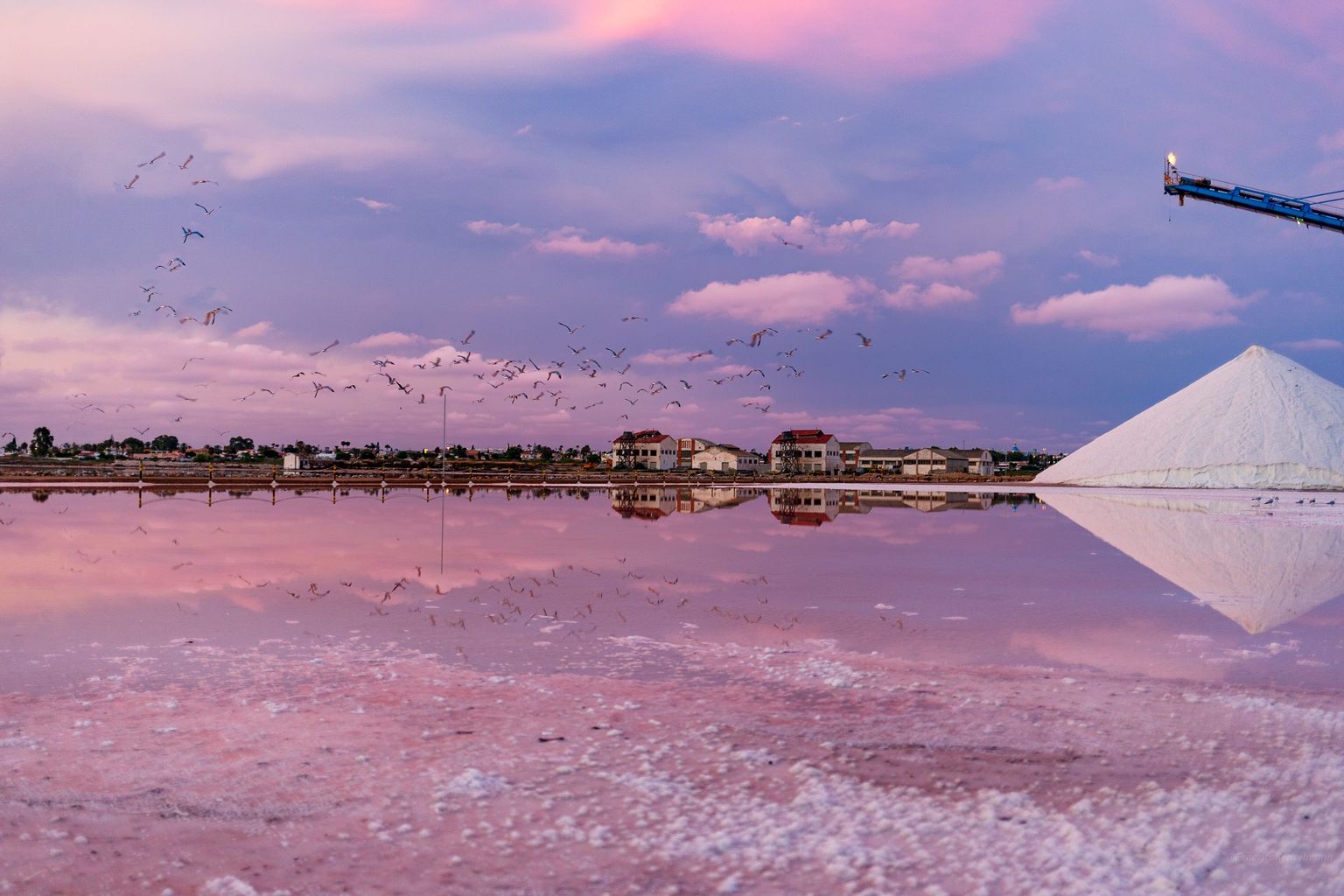 Les salines roses de Torrevieja au crépuscule, un vol d'oiseaux se reflétant dans l'eau